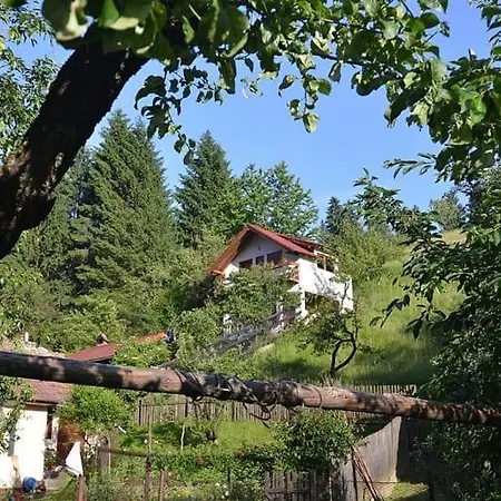 Vanatorilor Poiana Marului (Brasov)