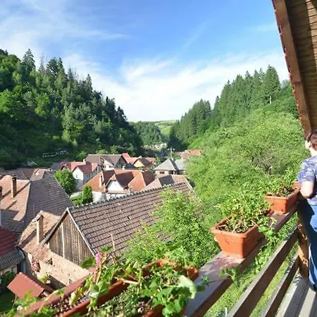 Vanatorilor Holiday home