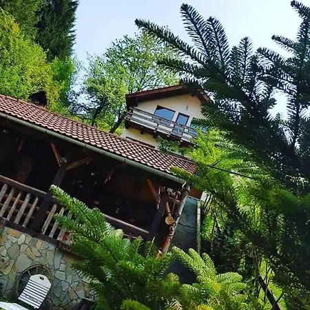 Holiday home Vanatorilor