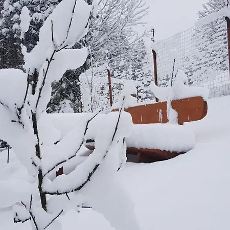 Vanatorilor Holiday home Poiana Marului (Brasov)