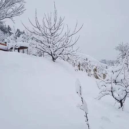 Vanatorilor Holiday home Poiana Marului (Brasov)