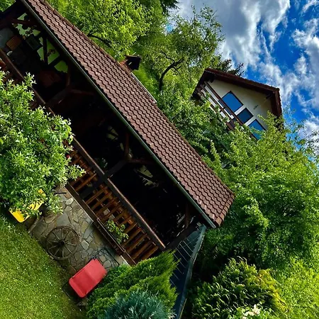 Vanatorilor Holiday home *